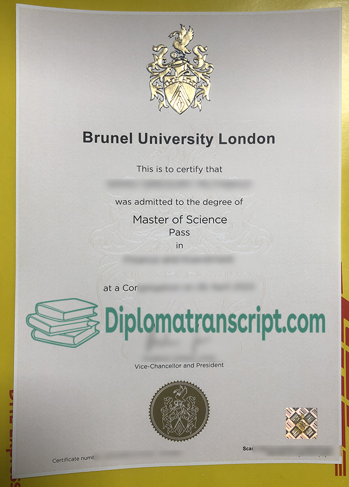 Brunel University of London degree