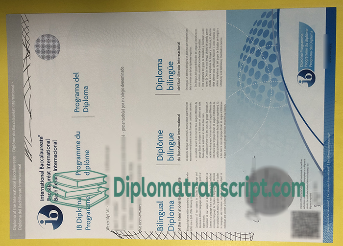 IB Diploma