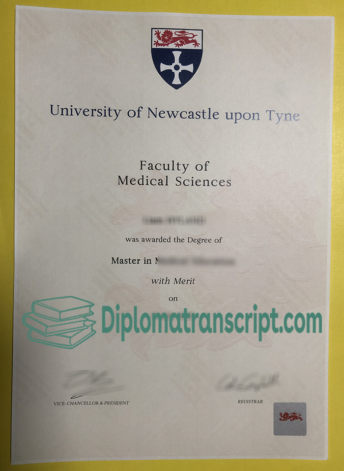 Newcastle University Degree