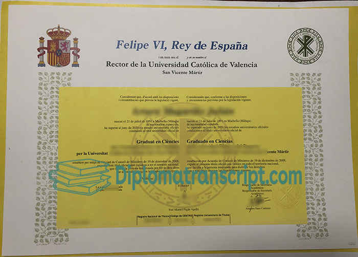 Universidad Católica de Valencia San Vicente Mártir diploma