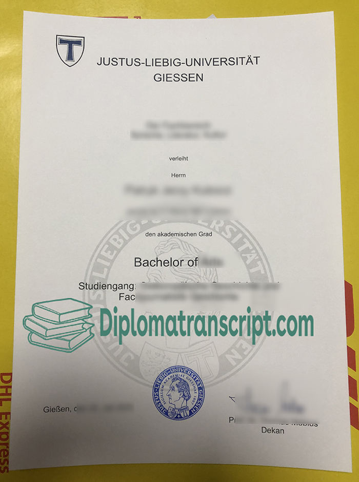 University Of Giessen Diploma