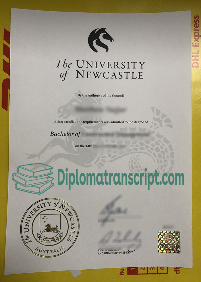 University of Newcastle degree