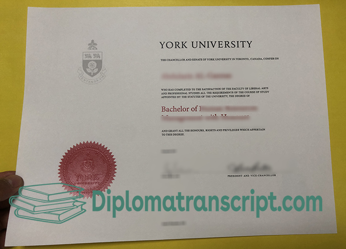 York University Degree Certificate