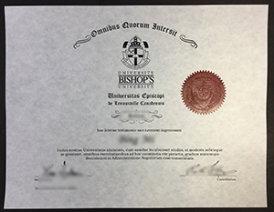 Bishop's University degree