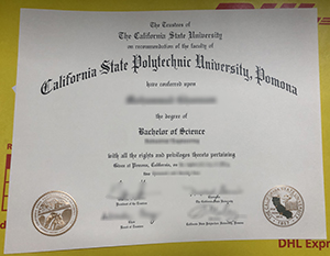 Cal Poly Pomona diploma certifiate