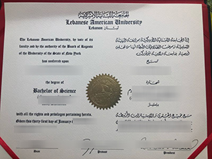 Lebanese American University diploma sample