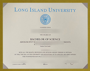 Long Island University Diploma sample