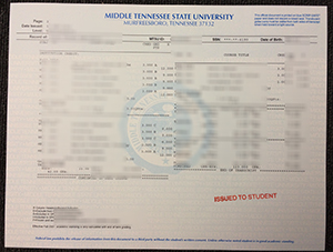 MTSU Diploma