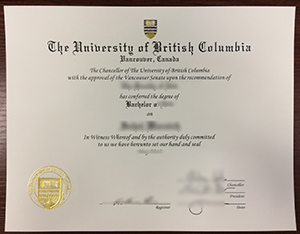 UBC degree