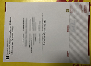 Universiteit van Amsterdam diploma sample