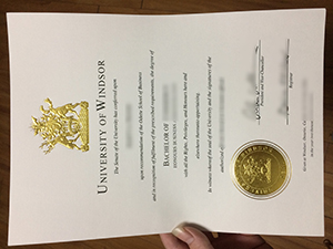 University of Windsor degree certificate