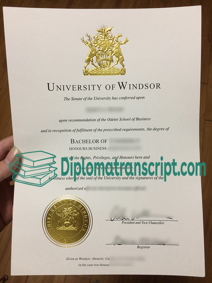 University of Windsor degree