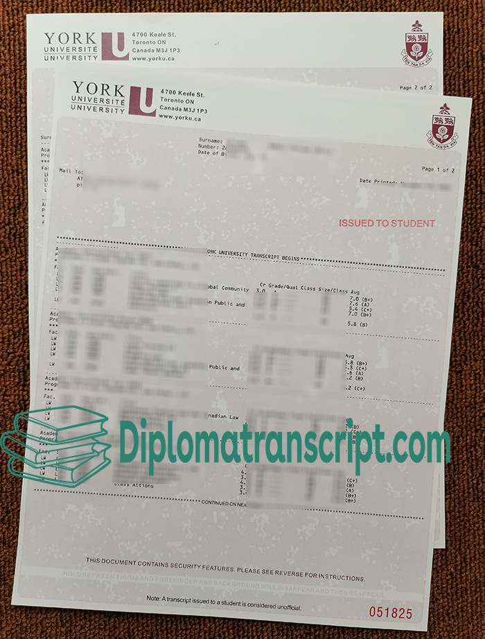 York University transcript