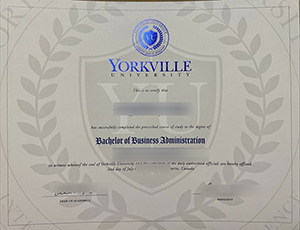 Yorkville University diploma