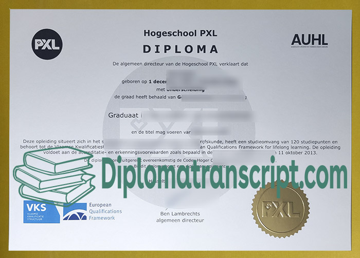 Hogeschool Pxl Diploma