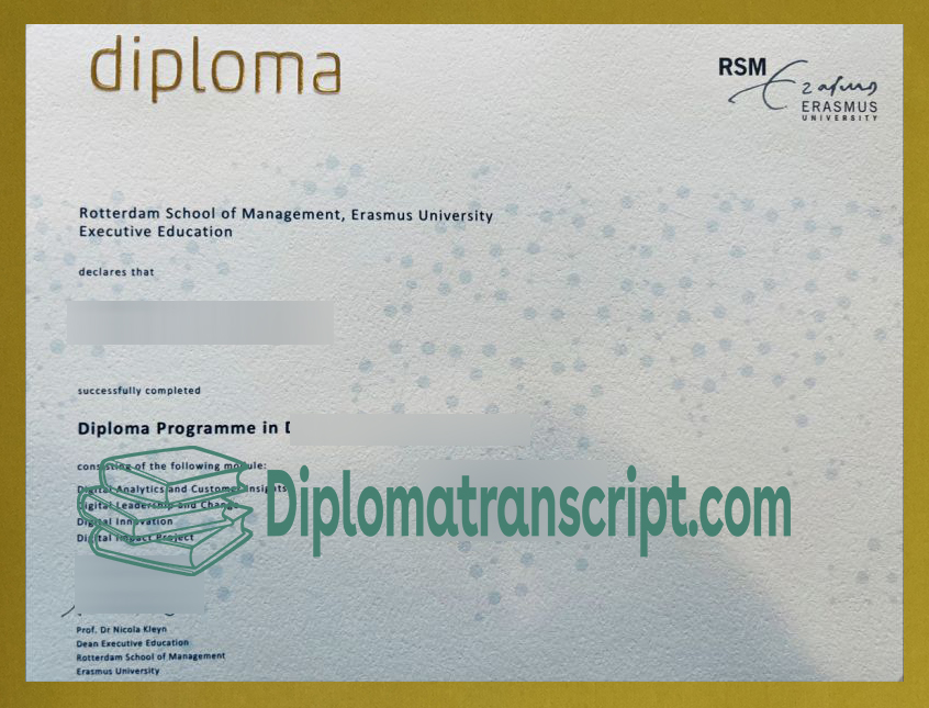 Rotterdam School of Management, Erasmus University diploma