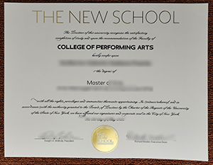 The New School Diploma sample