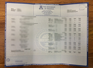 University of Arizona transcript sample