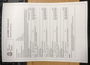 University of Sheffield transcript sample