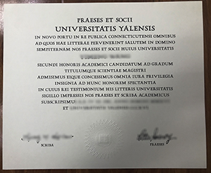 Yale University diploma