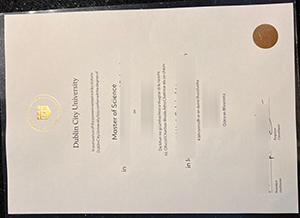 Dublin City University degree
