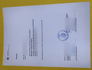 Universität Münster Urkunde sample