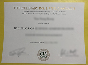 CIA Diploma