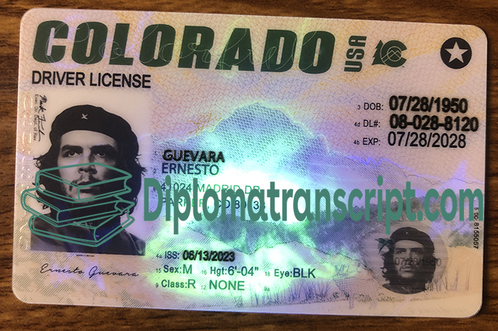 Colorado Driver’s License