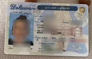 Delaware drving license, Delaware ID sample