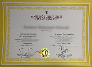 Near East University degree