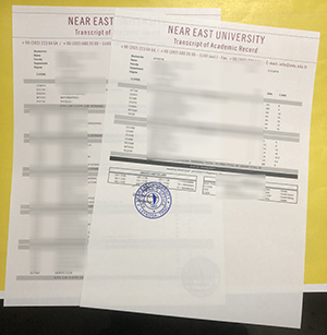 Near East University transcript