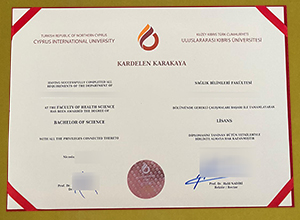 Uluslararası Kıbrıs Üniversitesi diploma