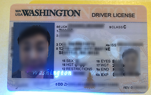 Washington driver’s license