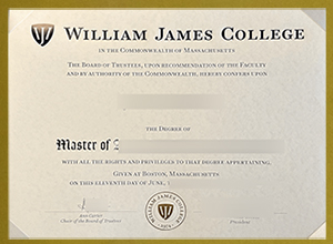 William James College degree sample