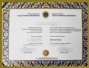 Yıldız Teknik Üniversitesi (YTÜ) diploma sample