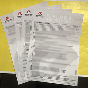 Erasmushogeschool Brussel transcript sample