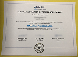 GARP FRM certificate sample