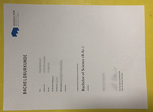 Hochschule Mainz Bachelor Urkunde sample
