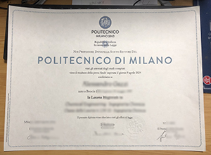 Politecnico Di Milano Laurea sample