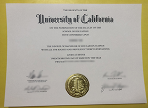 UC Irvine Bachelor of Education Science degree sample