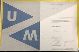 Universiteit Maastricht Getuigschrift sample