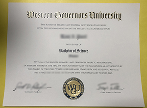 WGU BSc Degree