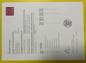 Cardiff University transcript