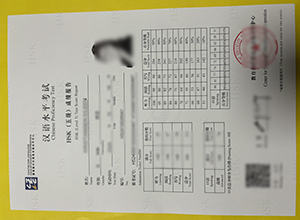 HSK level 5 test Score Report sample