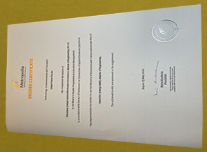 Metropolia Ammattikorkeakoulu Degree Certificate sample