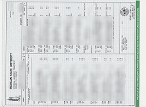 Michigan State University transcript sample