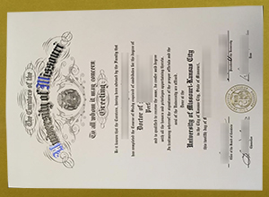 UMKC degree