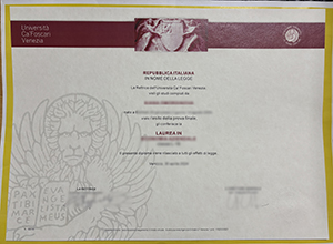 Università Ca’ Foscari Venezia Laurea