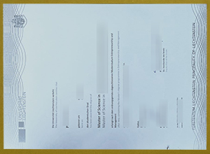 University of Liechtenstein degree sample