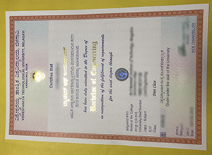 Visvesvaraya Technological University (VTU) diploma sample